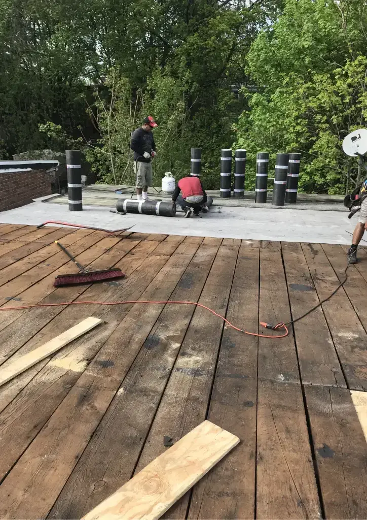 Castro & Son's project photo